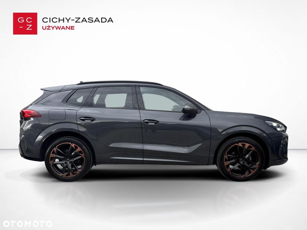 Cupra Terramar - 6