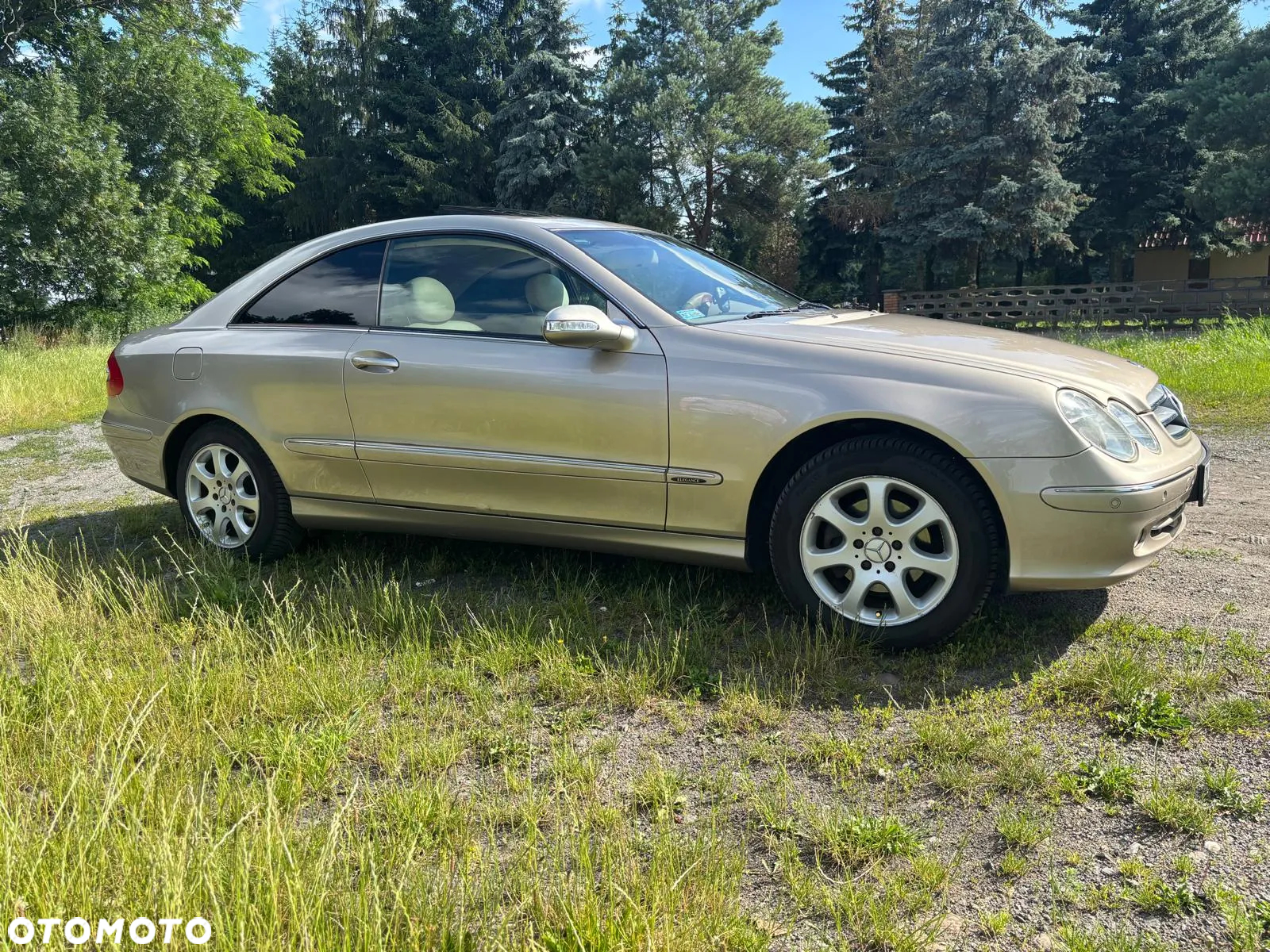 Mercedes-Benz CLK - 15