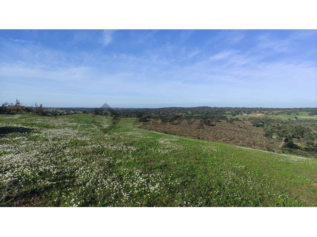 Terreno rústico de 9,1Ha localizado 1 Km da localidade da Dogueno - Grande imagem: 2/11