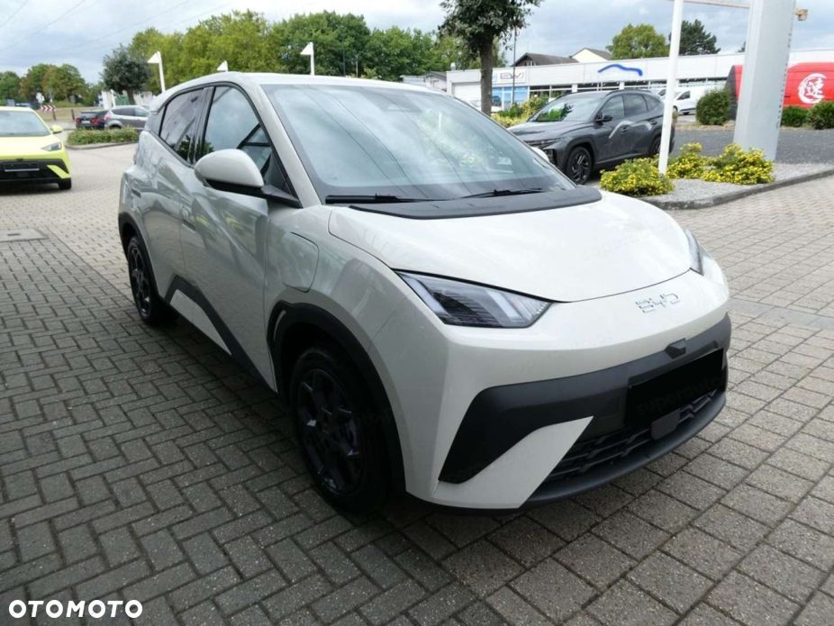 BYD Dolphin Surf - 5