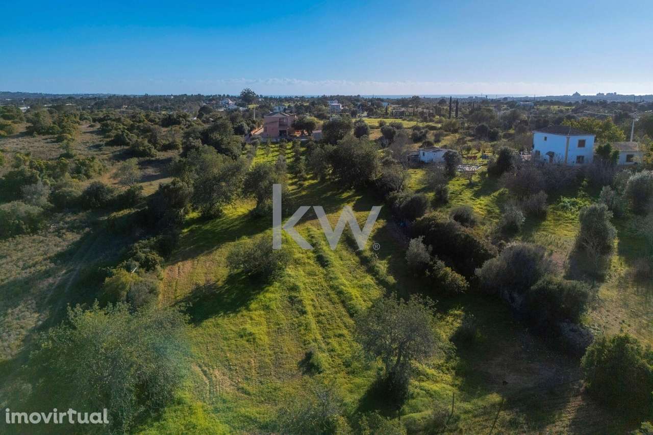 Moradia isolada T4 e terreno rústico, em Pêra. - Grande imagem: 5/60