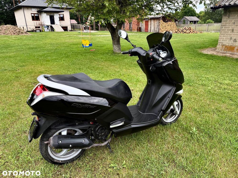 Peugeot Citystar - 4