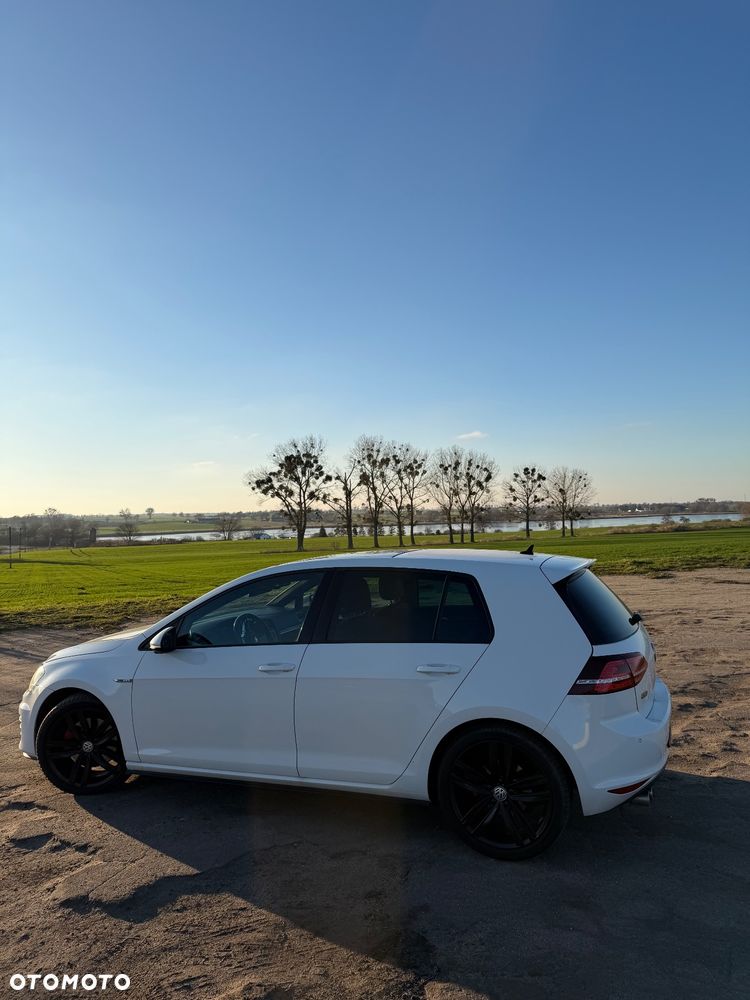 Volkswagen Golf - 6