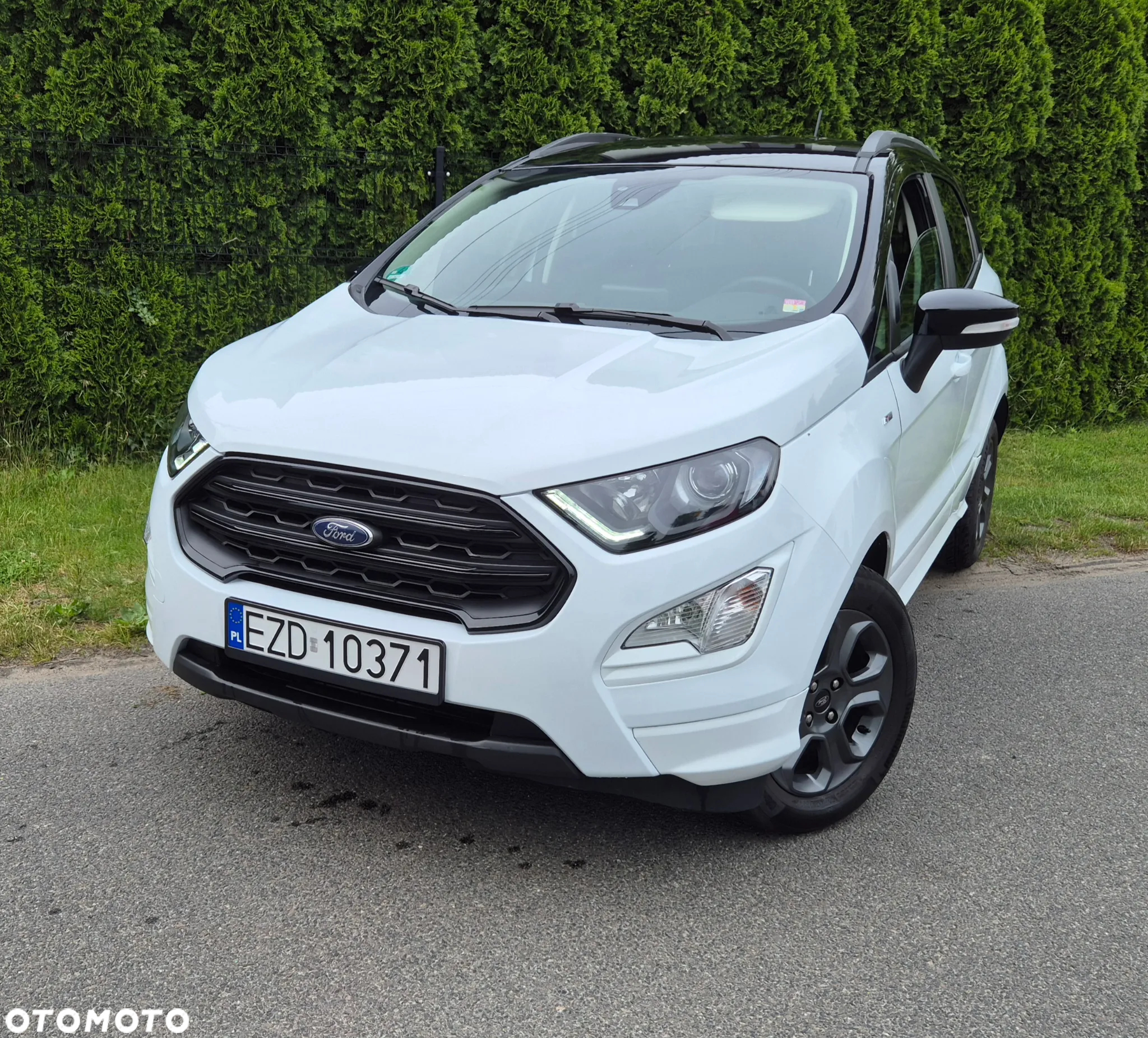 Ford Fiesta - 28