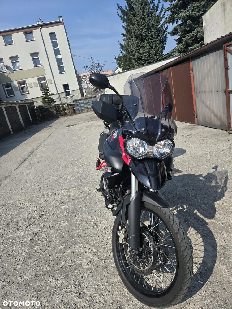 Triumph Tiger - 5