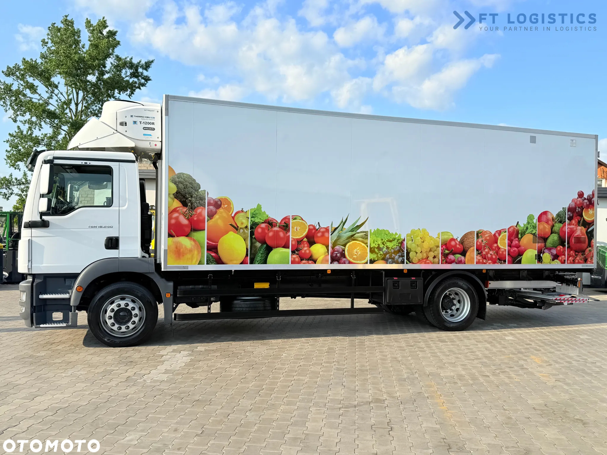 MAN TGM 18.290 / THERMOKING T-1200R / BI-TEMPERATURA / 19 PALET / OPONY 90% / STAN IDEALNY / WIDNA DHOLLANDIA / DRZWI BOCZNE / ŁADOWNOŚĆ 8220KG - 2