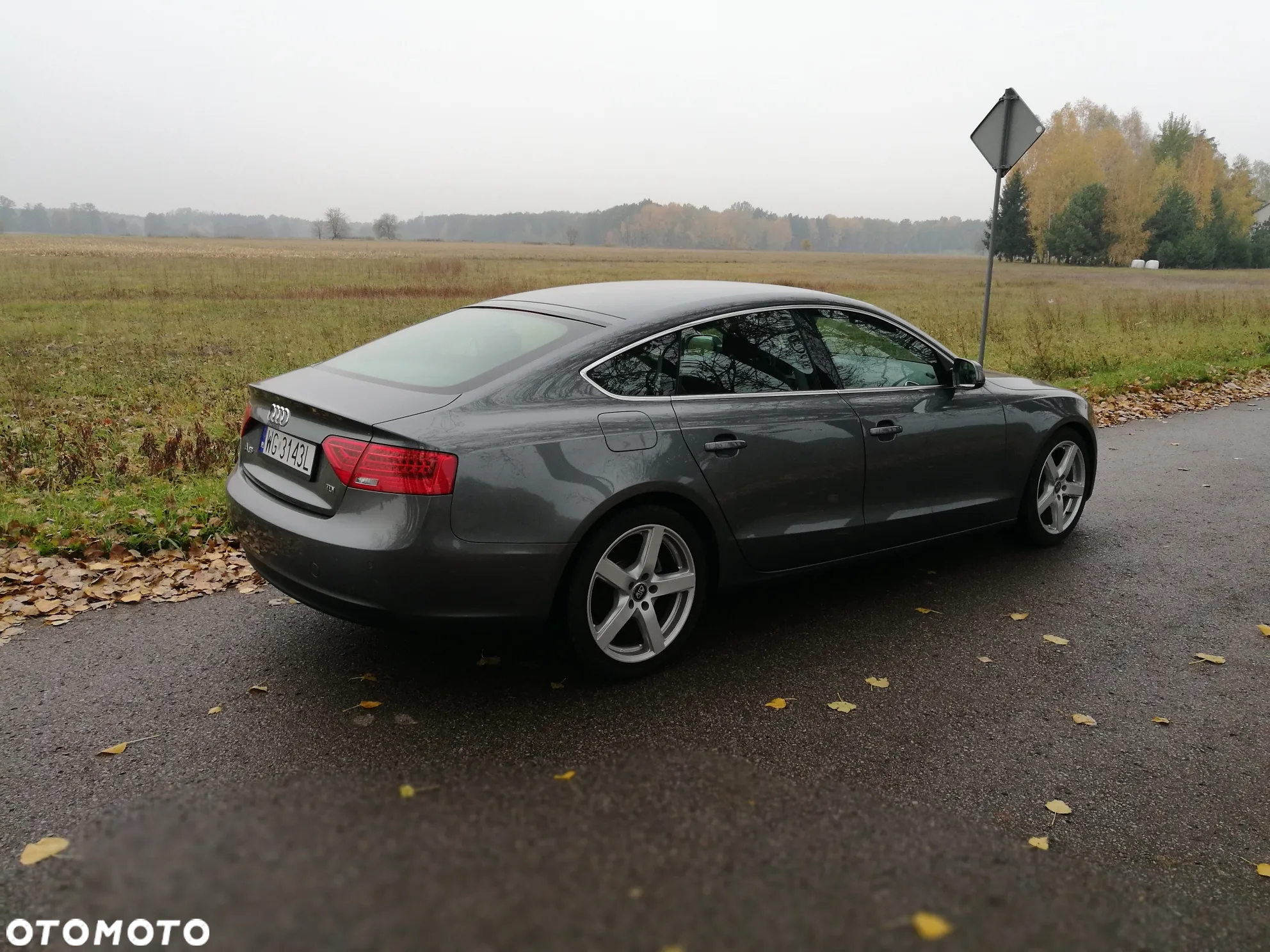 Audi A5 2.0 TDI - 12