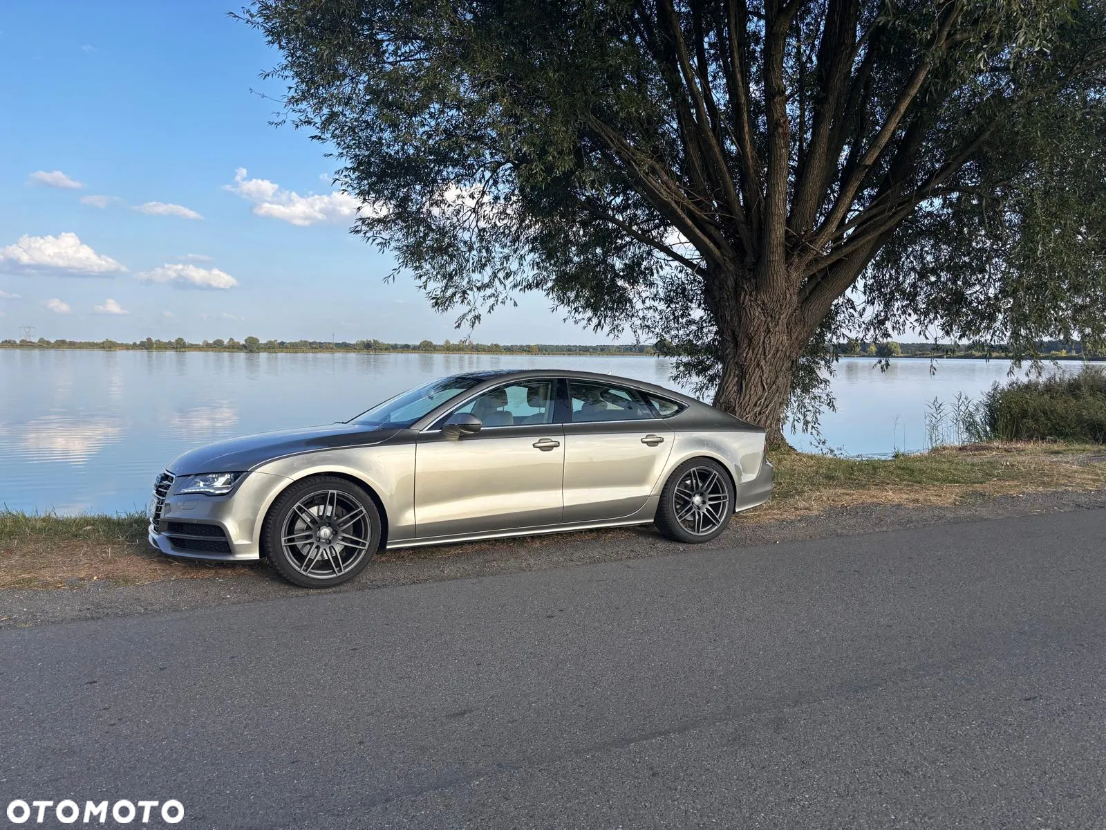 Audi A7 Sportback 3.0 TDI Quattro S tronic - 7