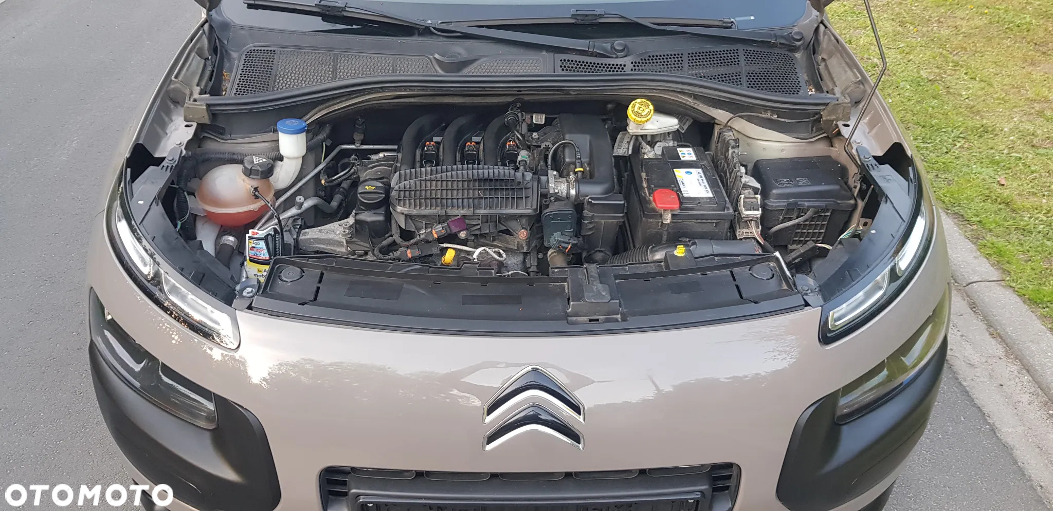 Citroën C4 Cactus - 22