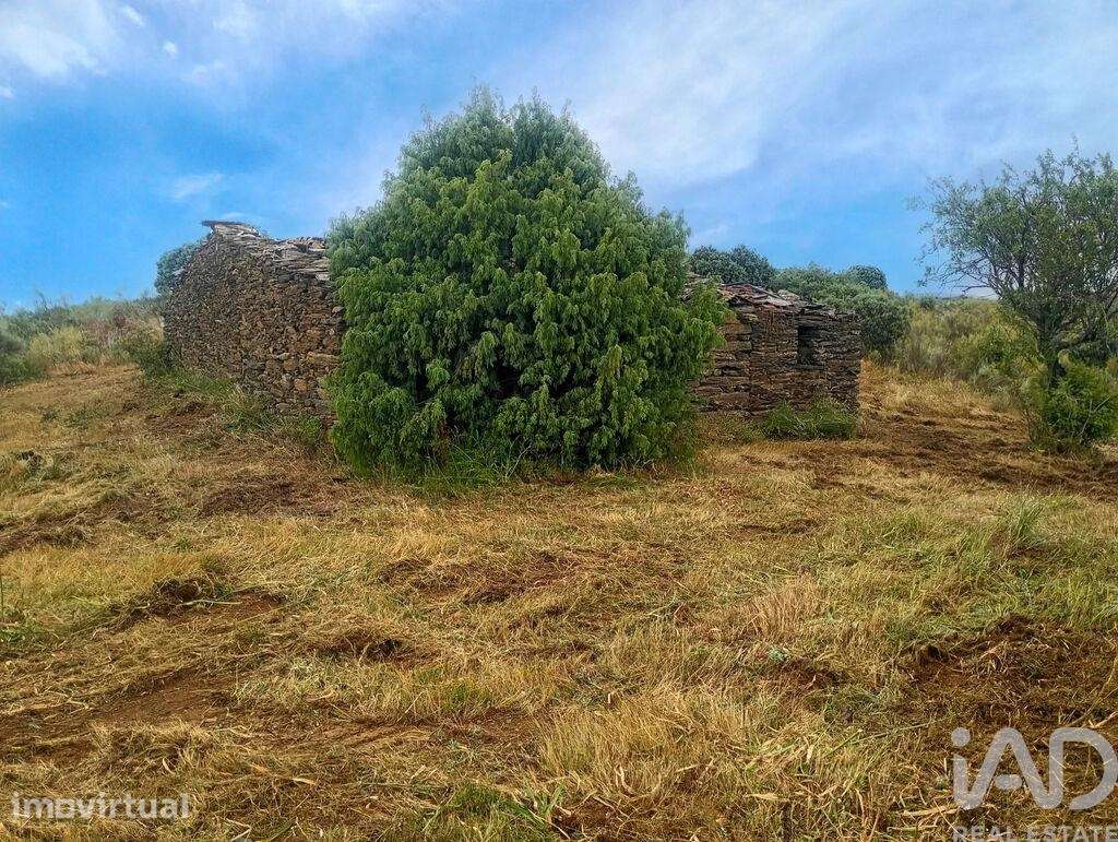 Terreno Agrícola em Vila Nova de Foz Côa - Grande imagem: 5/20