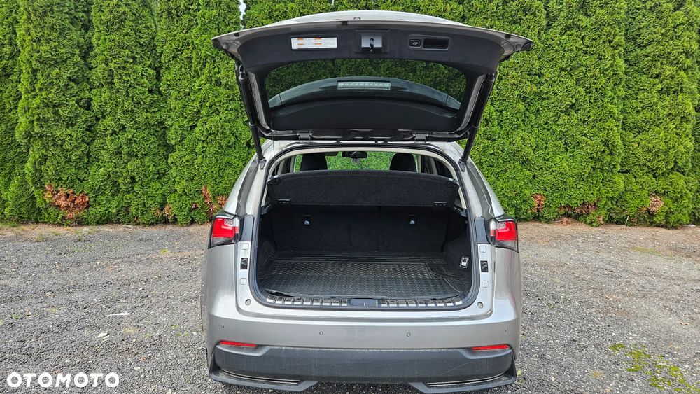 Lexus NX 300h - 13