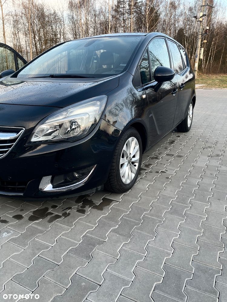Opel Meriva 1.4 Ecoflex Color Edition - 15