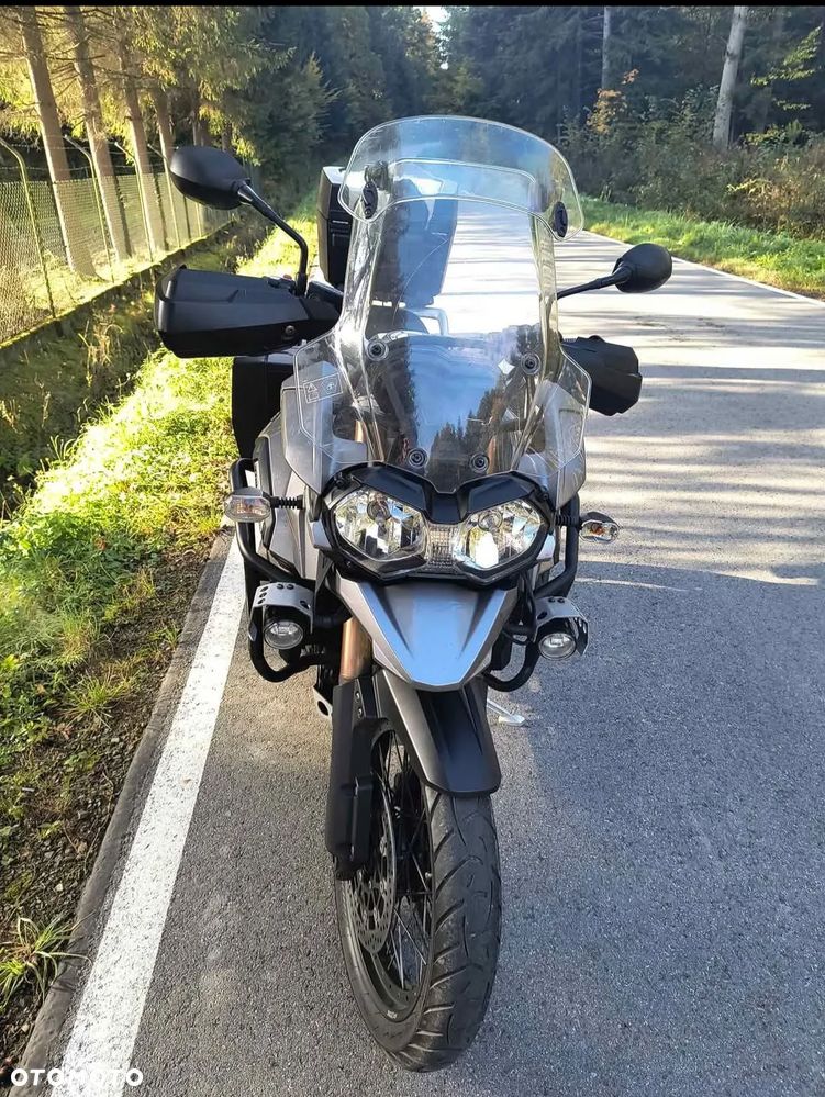Triumph Tiger - 4