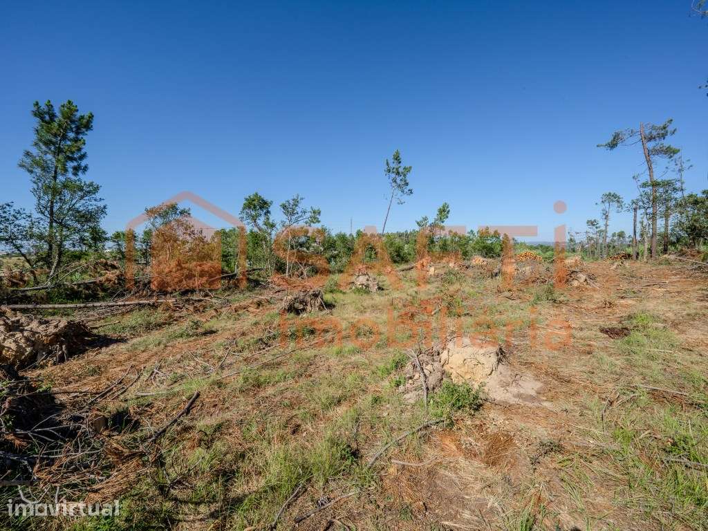 Terreno para construção - Grande imagem: 2/12