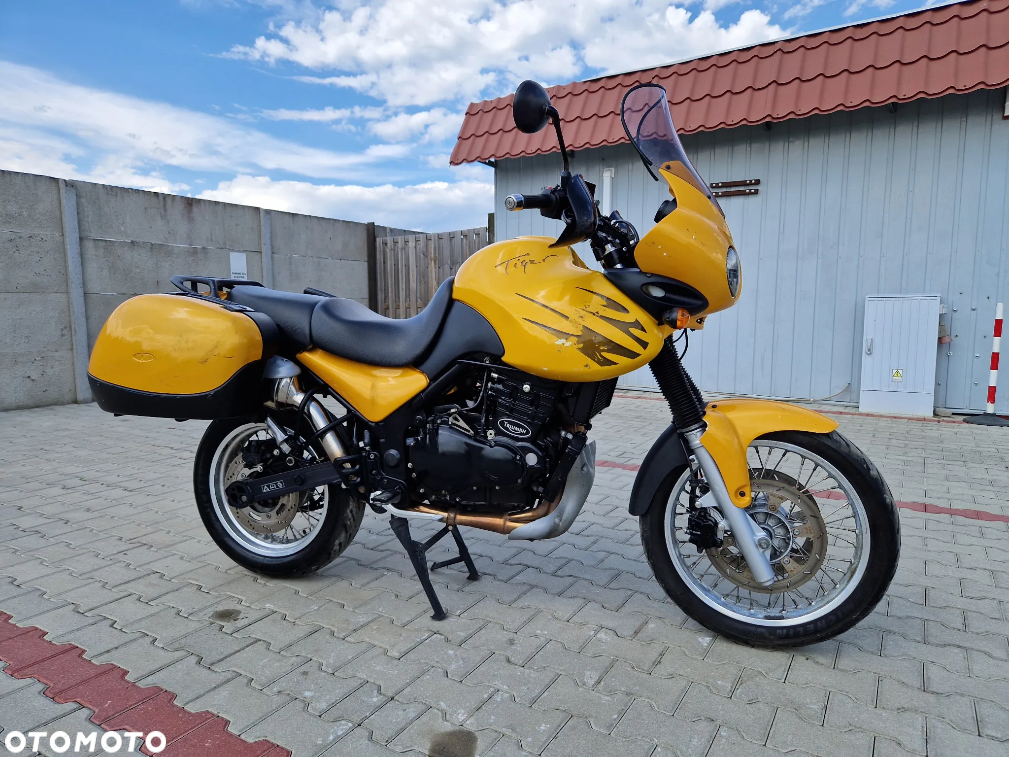 Triumph Tiger - 11