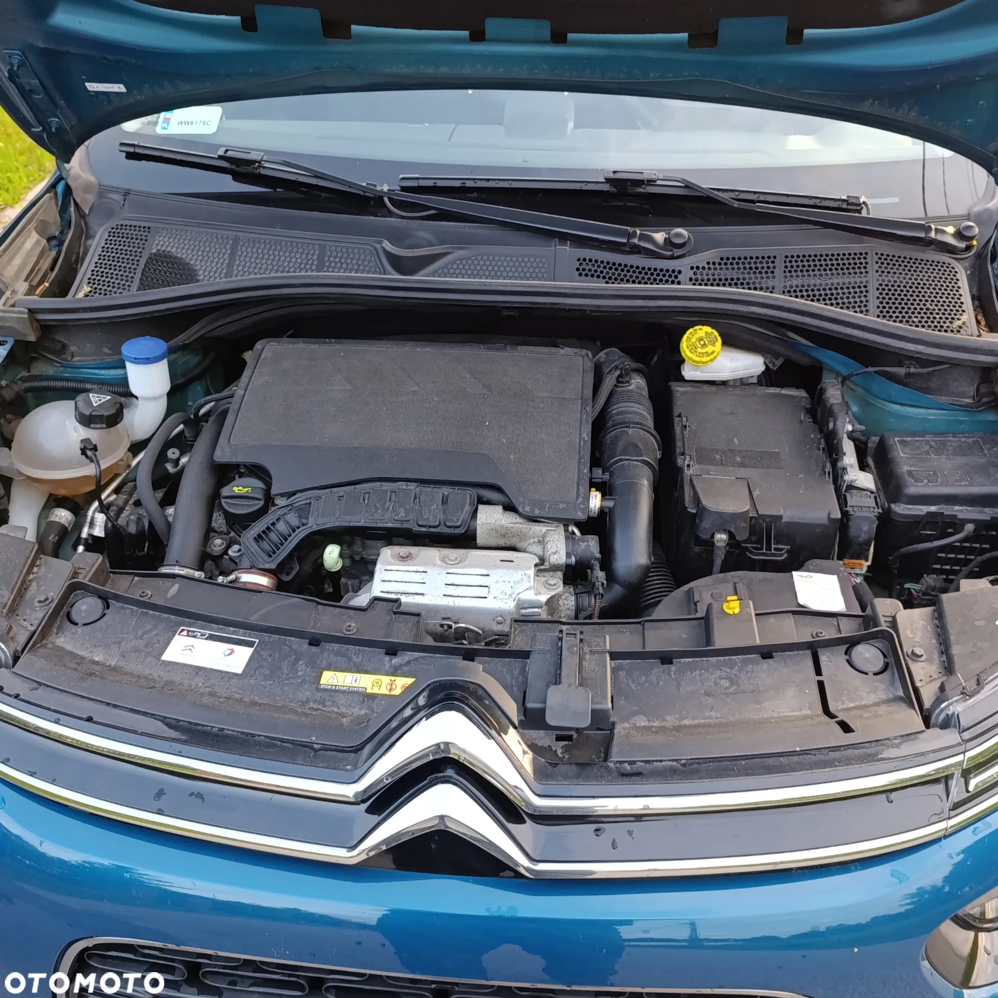 Citroën C4 Cactus 1.2 PureTech Feel S&S - 22