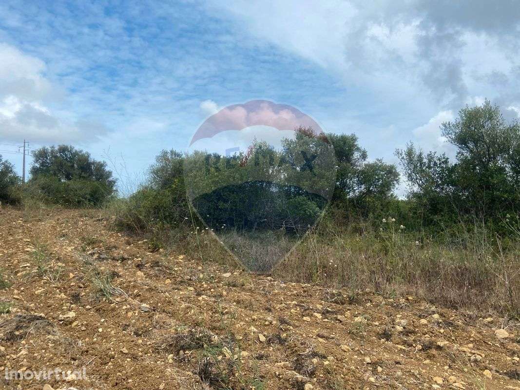 Terreno  para venda - Grande imagem: 3/4