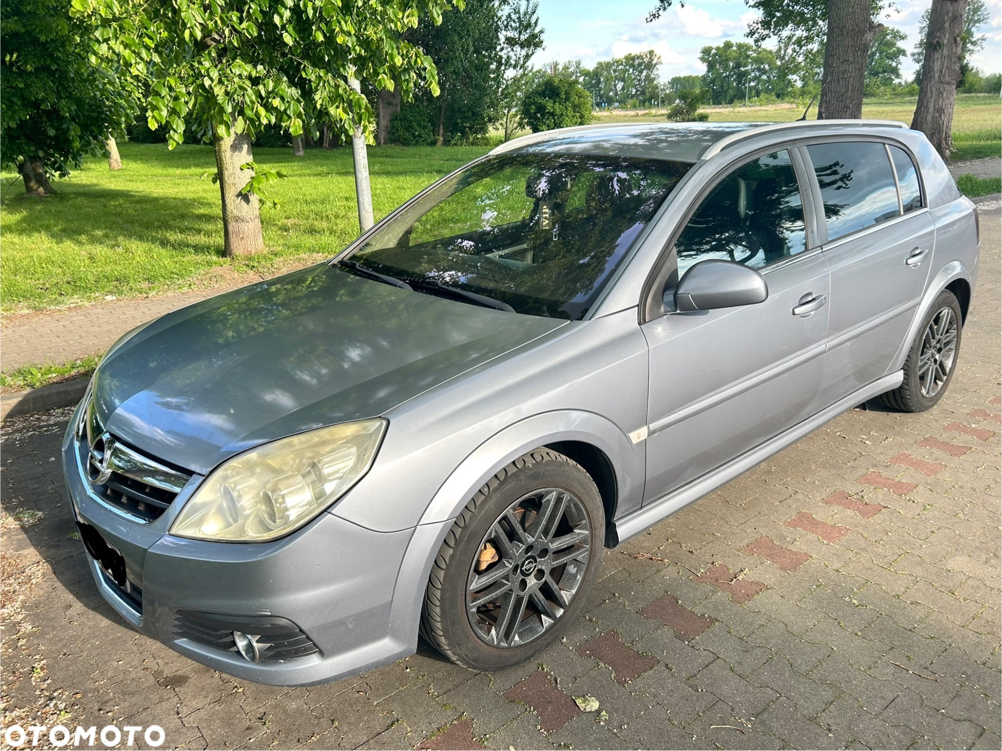 Opel Signum - 2