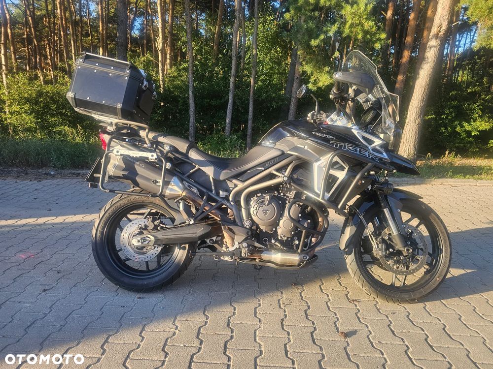 Triumph Tiger - 1