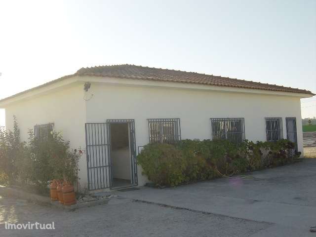 Armazém  Venda em Senhorim,Nelas - Grande imagem: 3/15