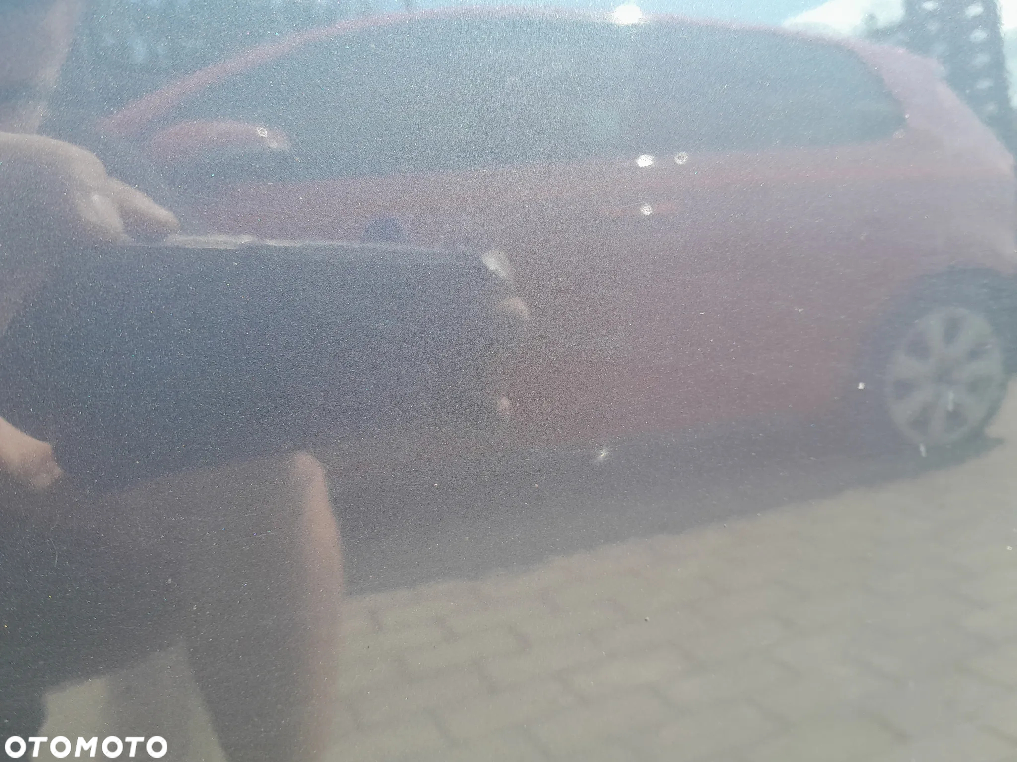 AUDI A4 B6 DRZWI PRAWE PRZEDNIE PRAWY PRZÓD KOLOR: LX7Z - 8