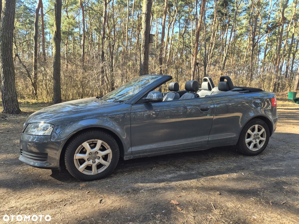 Audi A3 Cabrio 1.6 Attraction - 12