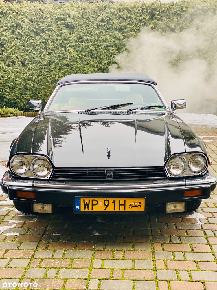 Jaguar XJS - 8