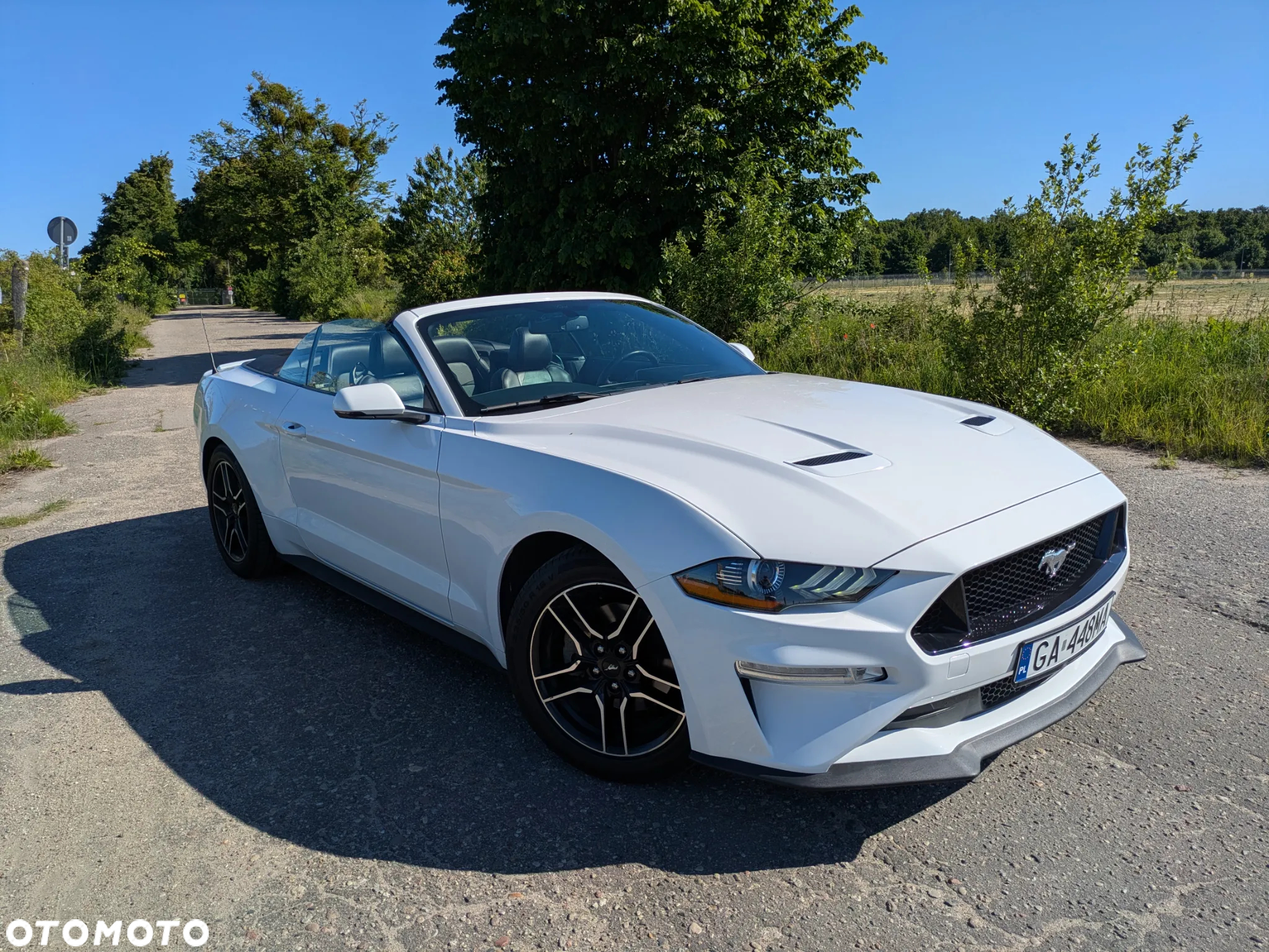 Ford Mustang 2.3 EcoBoost - 36