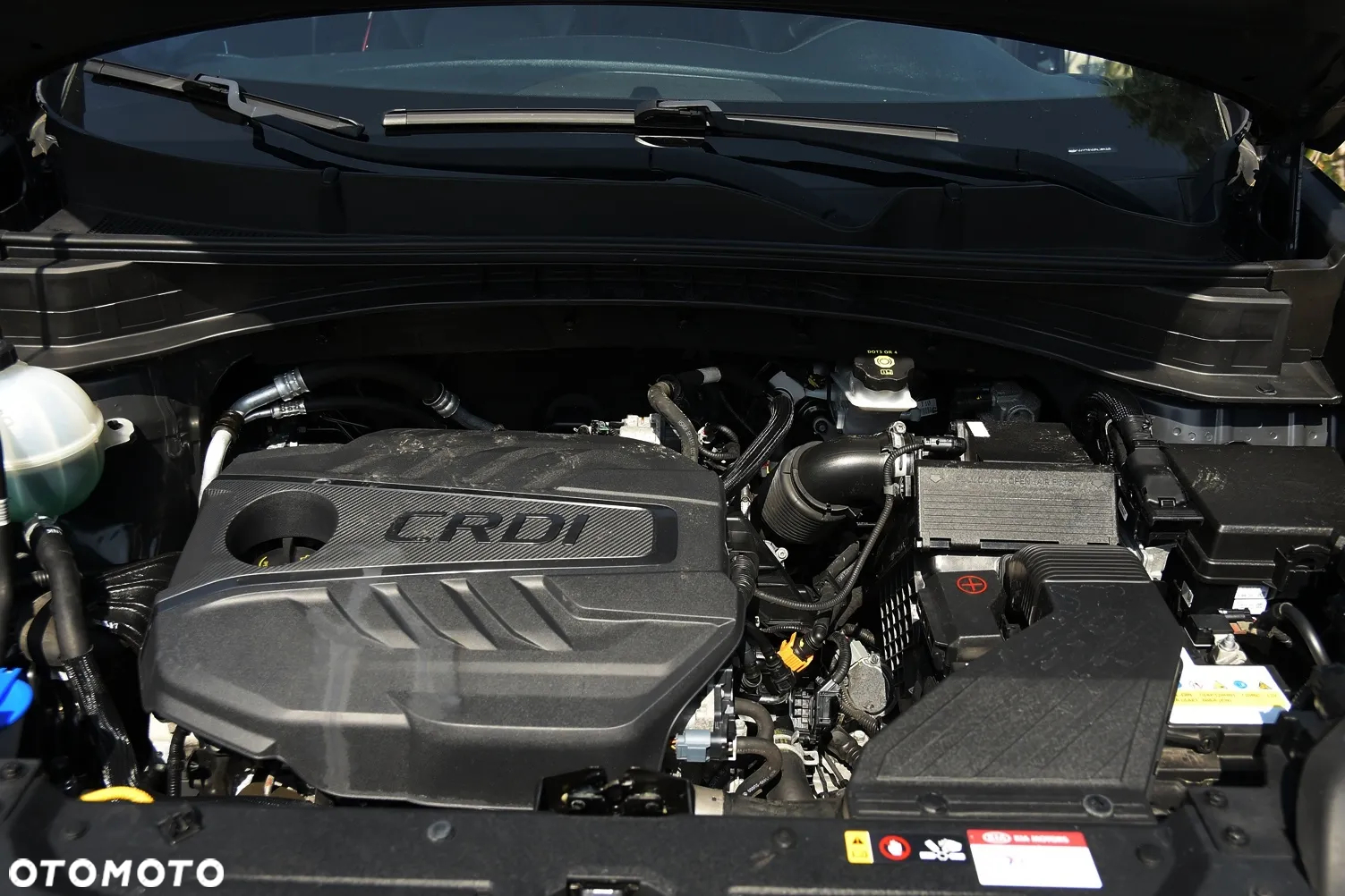 Kia Sportage 1.6 CRDI GT Line 4WD DCT - 37