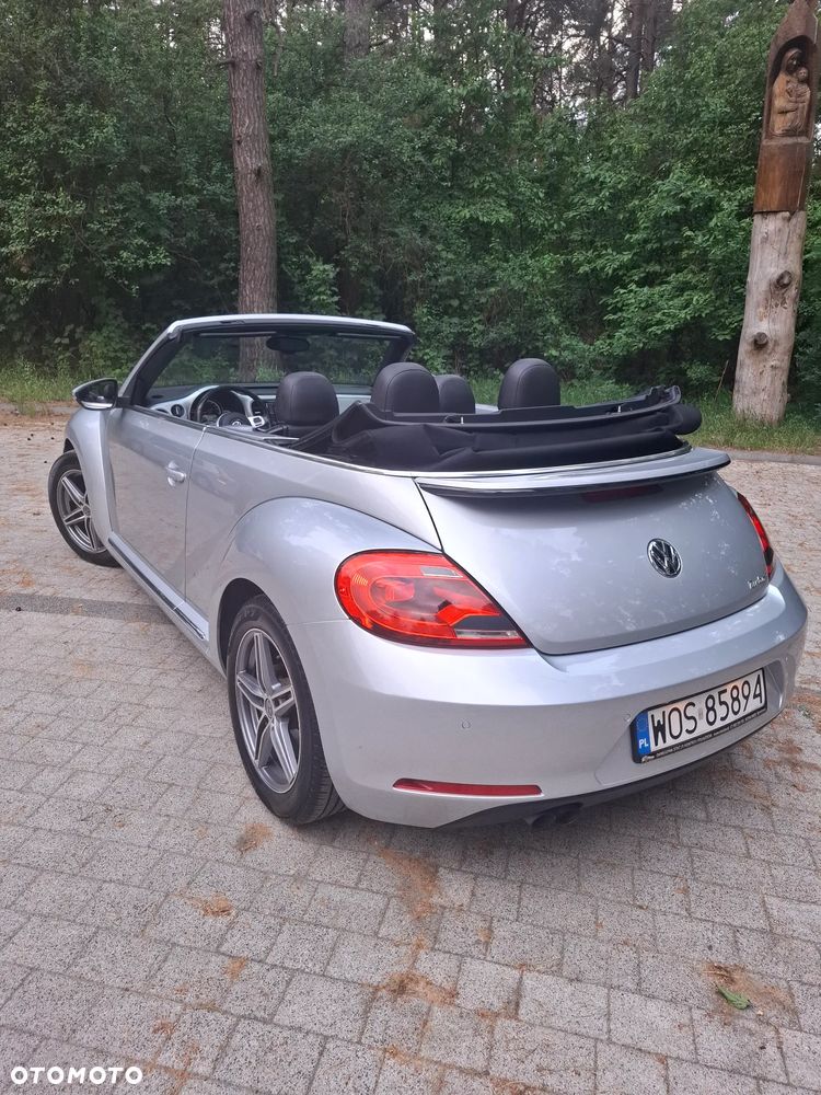 Volkswagen Beetle - 15