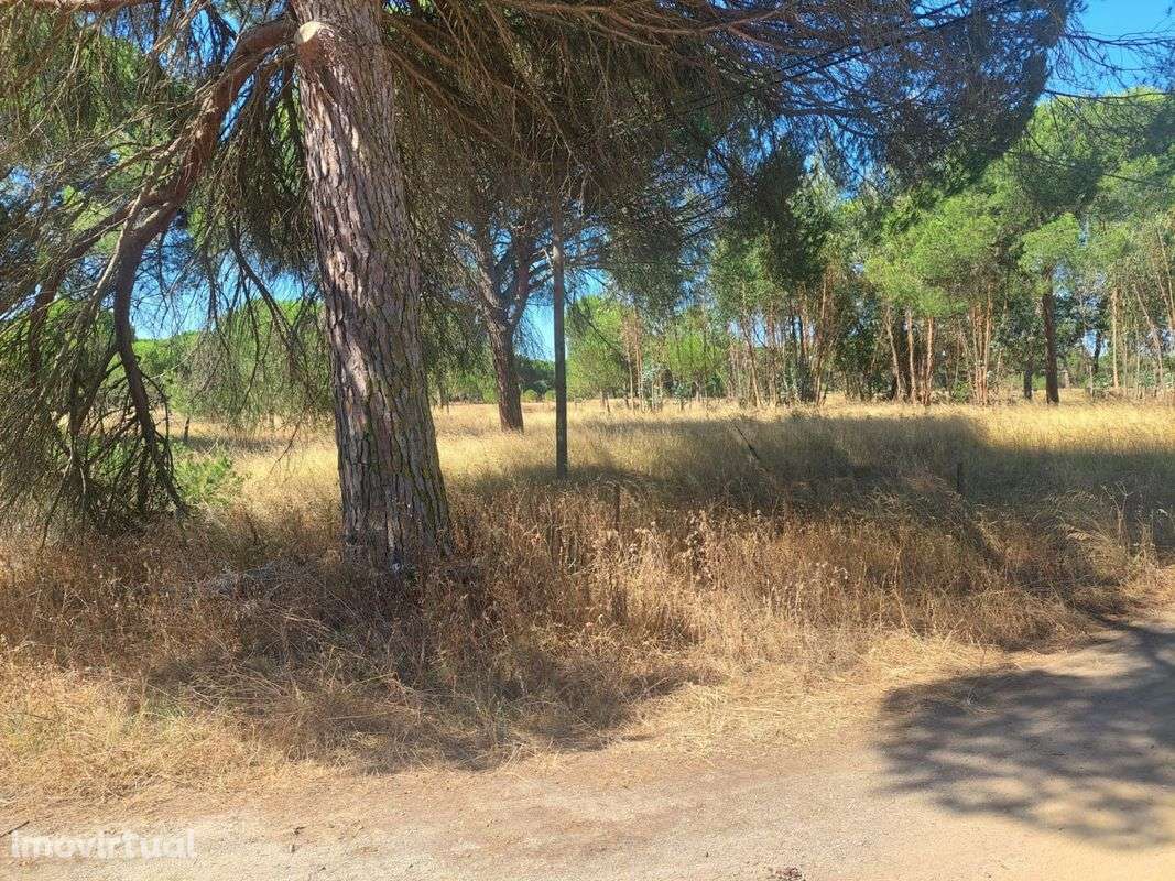 Terreno  para venda - Grande imagem: 5/5