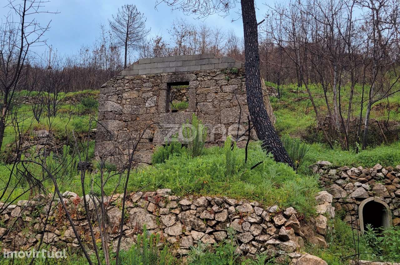 Quinta de ~3ha com duas moradias para reconstrução total - Grande imagem: 2/8