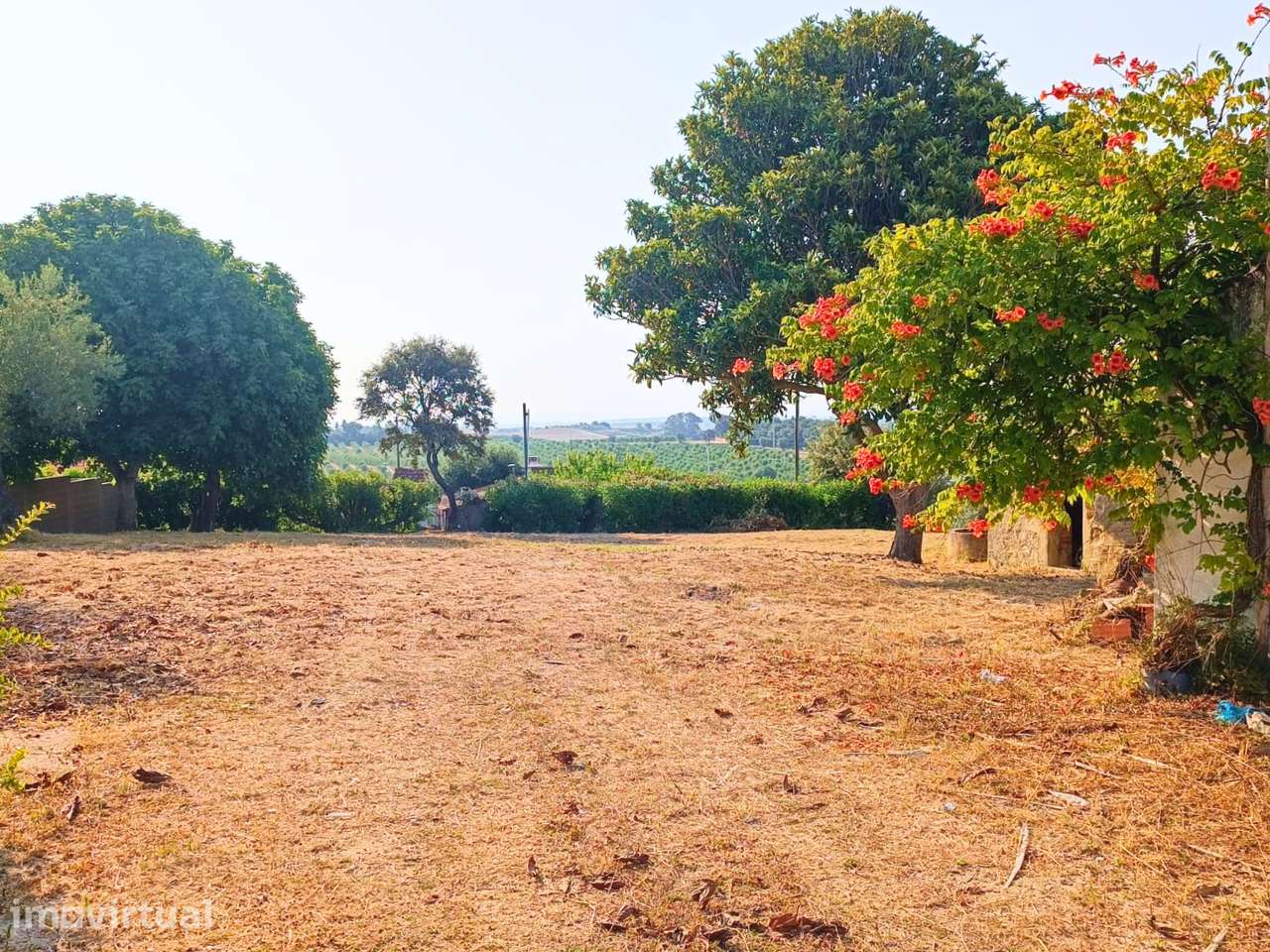 Propriedade com 2 moradias e terreno - Grande imagem: 3/21