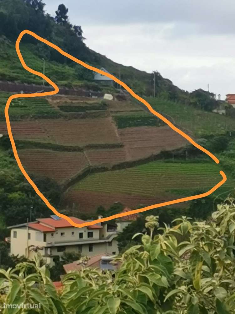 Terreno rústico urbanizável perto da Vila do Porto da Cruz - Grande imagem: 2/3