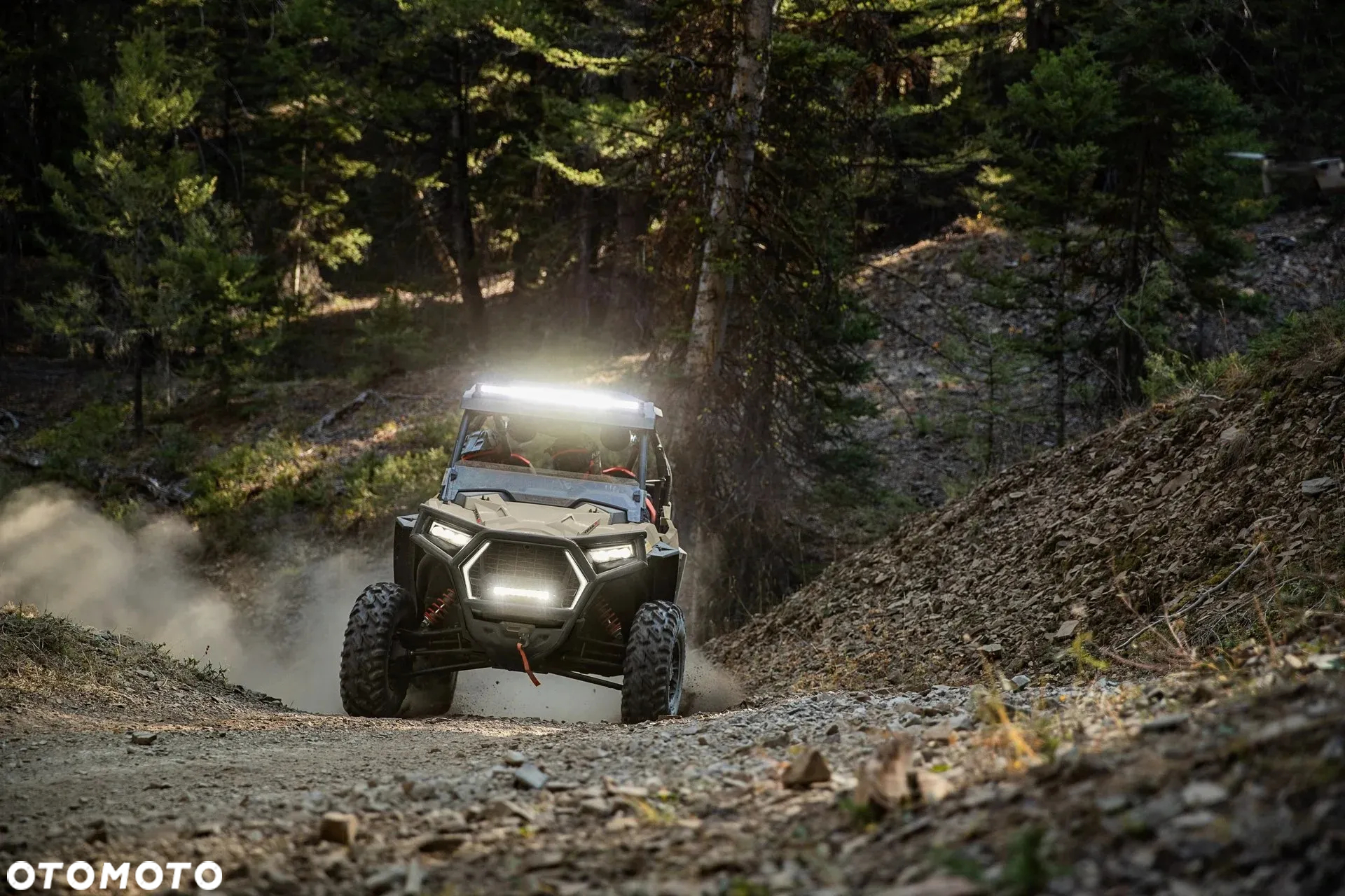 Polaris RZR