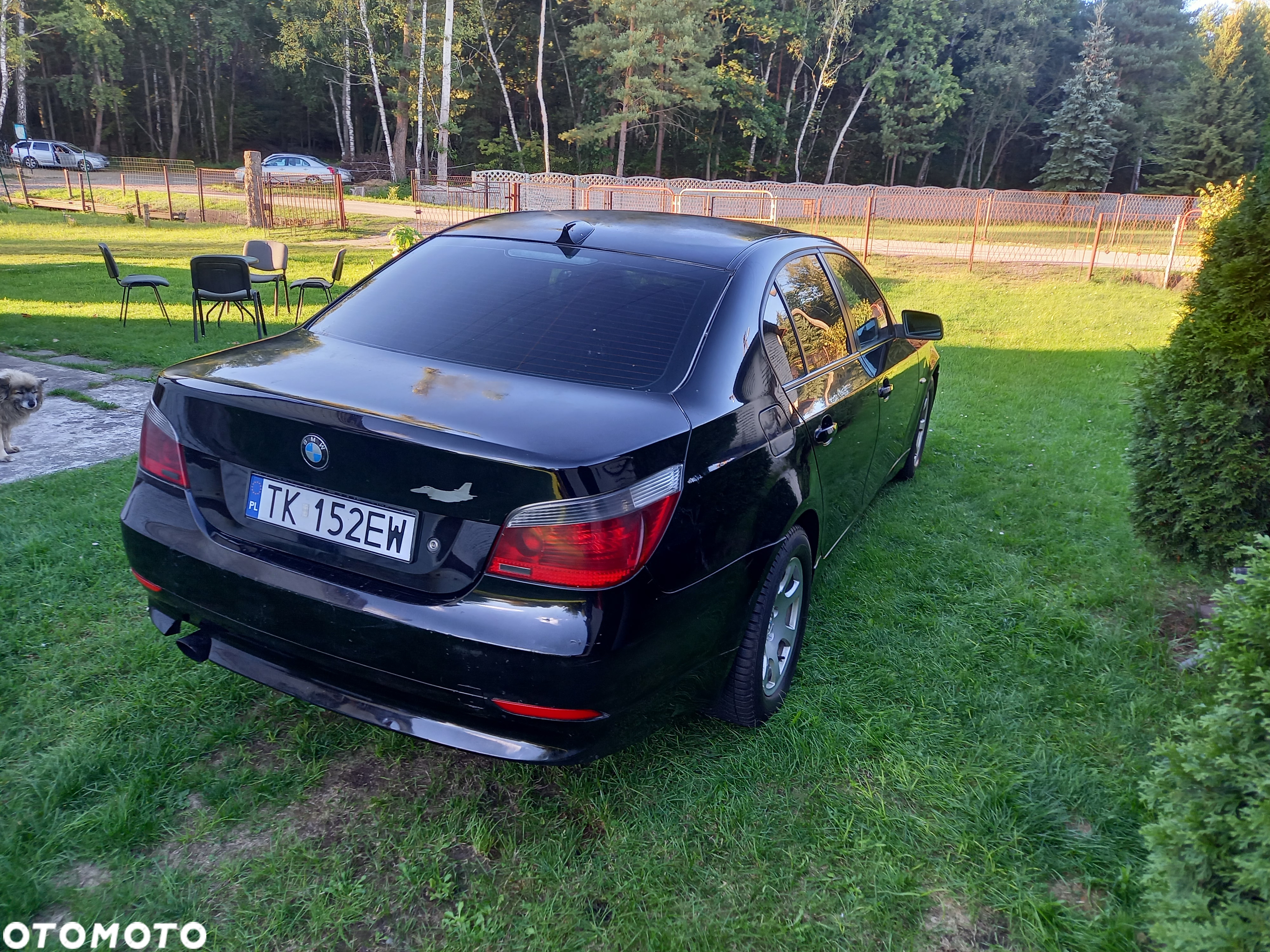 BMW Seria 5 520d - 29