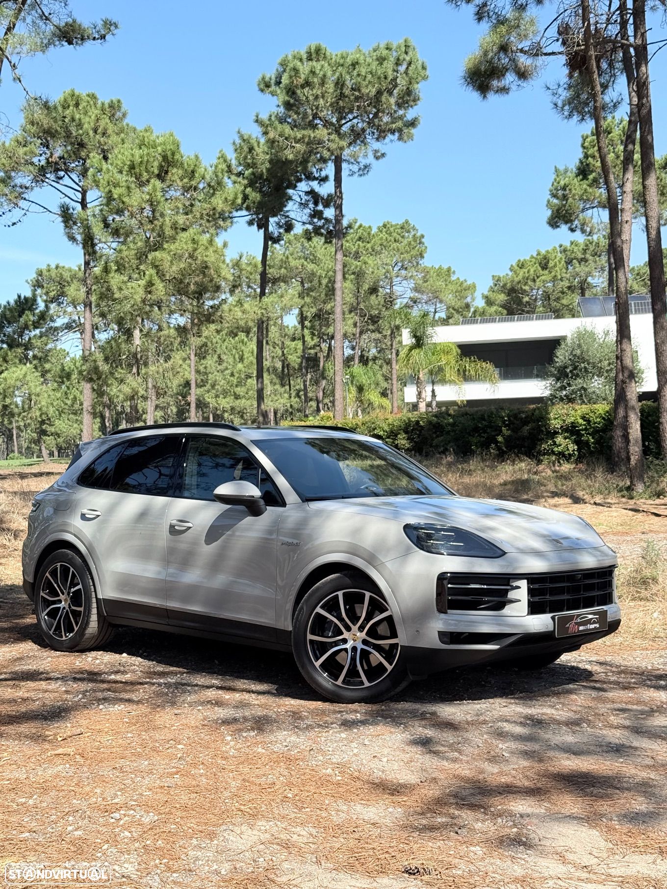 Porsche Cayenne E-Hybrid - 1