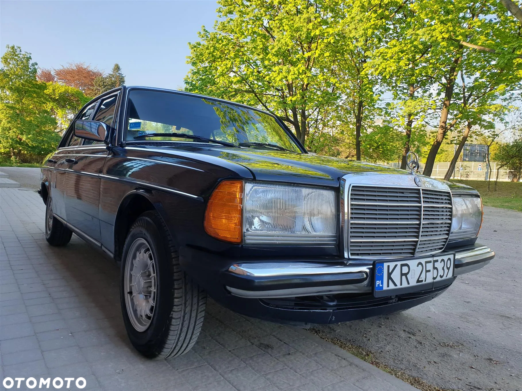 Mercedes-Benz W123 - 16