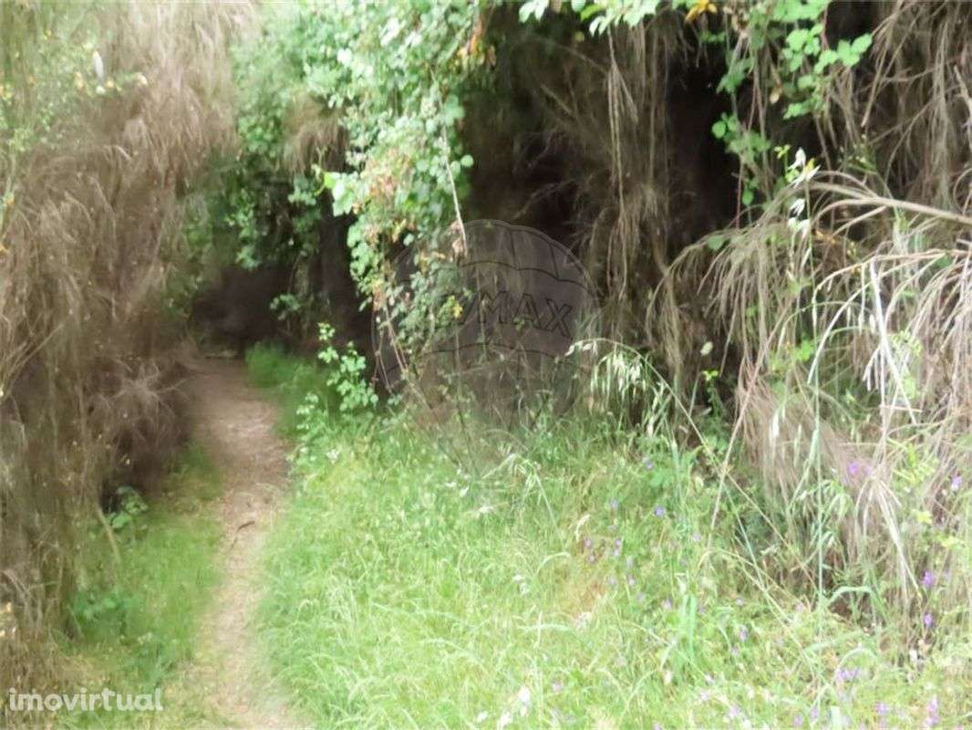 Quinta  para venda - Grande imagem: 2/9