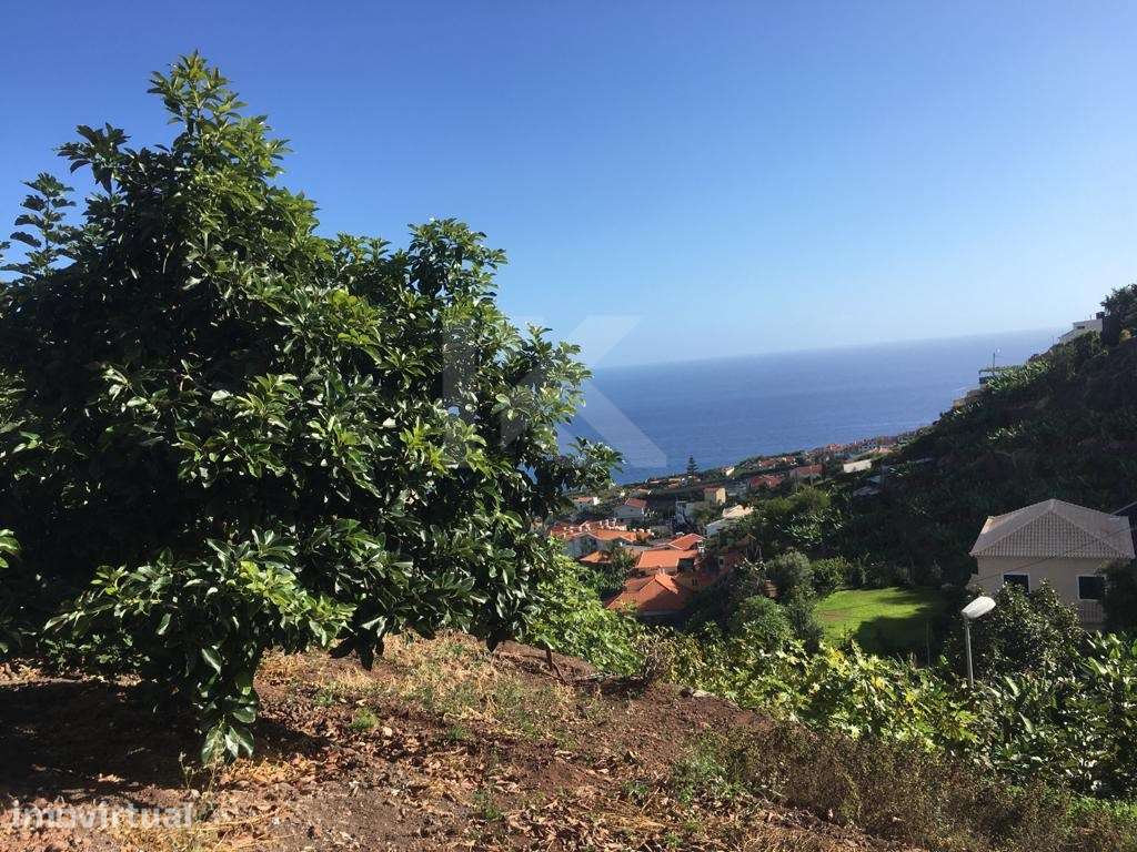 Terreno Localizado em Câmara de Lobos - Grande imagem: 4/18