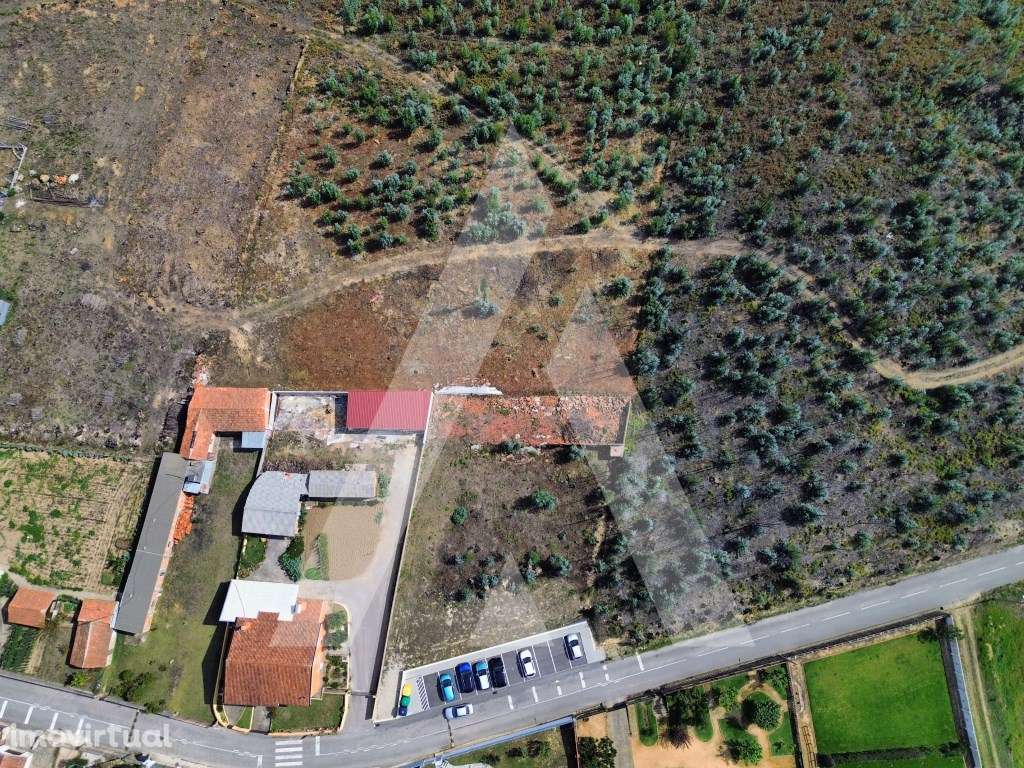 Terreno na Branca - Albergaria-a-Velha - Grande imagem: 3/12