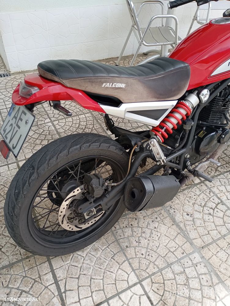 Mash Falcone - 6