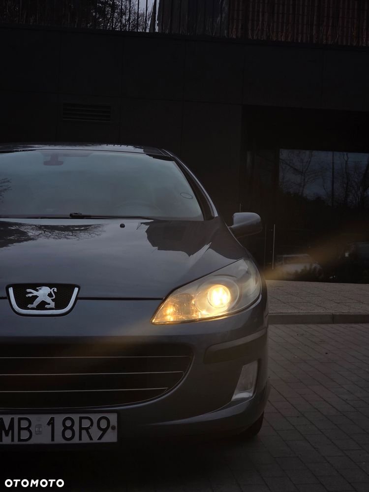 Peugeot 407 - 1