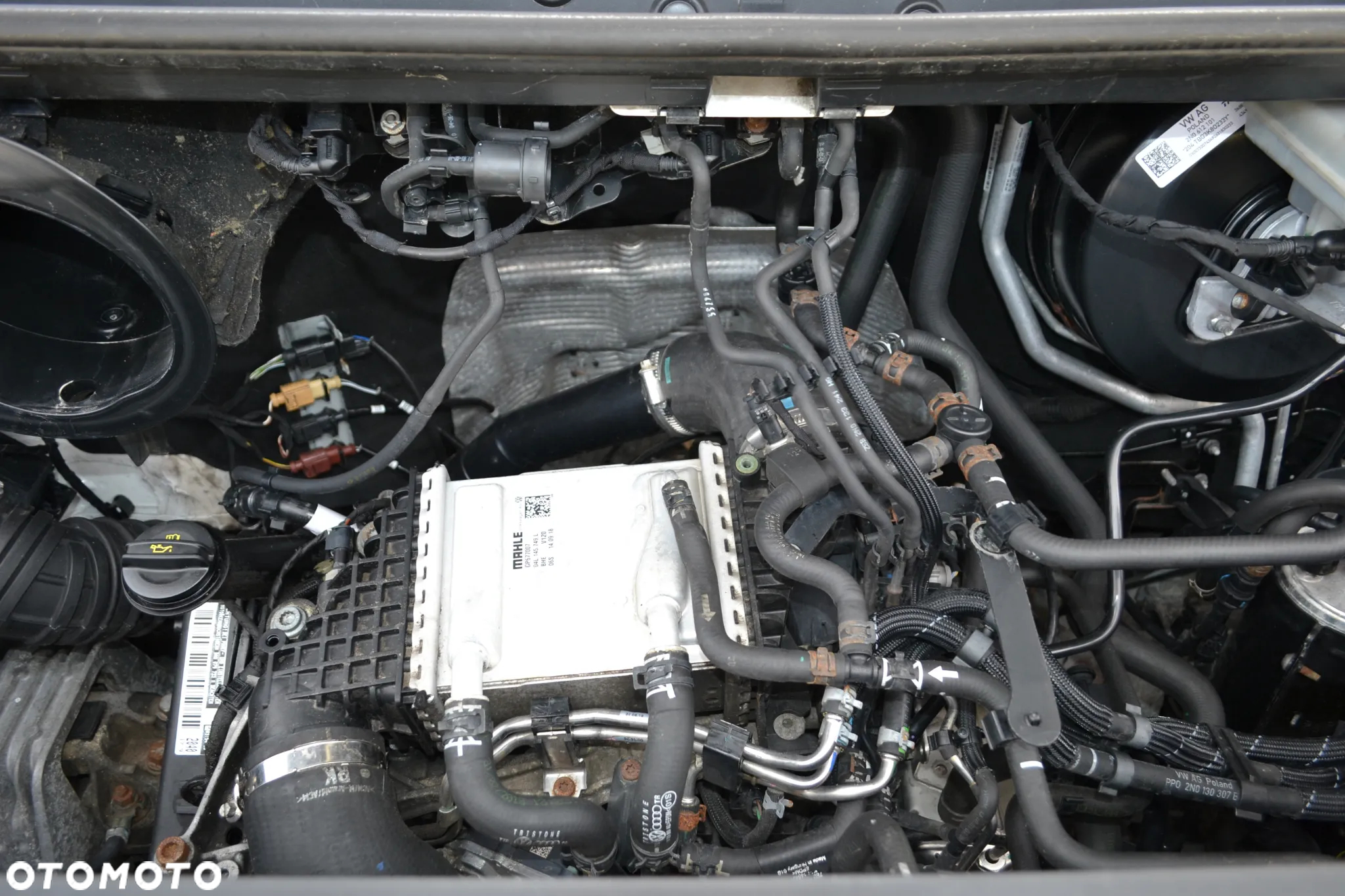 MAN TGE - 31