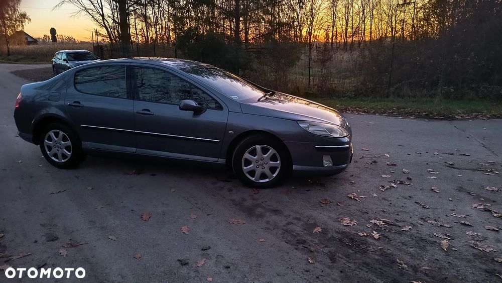 Peugeot 407 2.0 HDI ST Komfort EU4 - 7