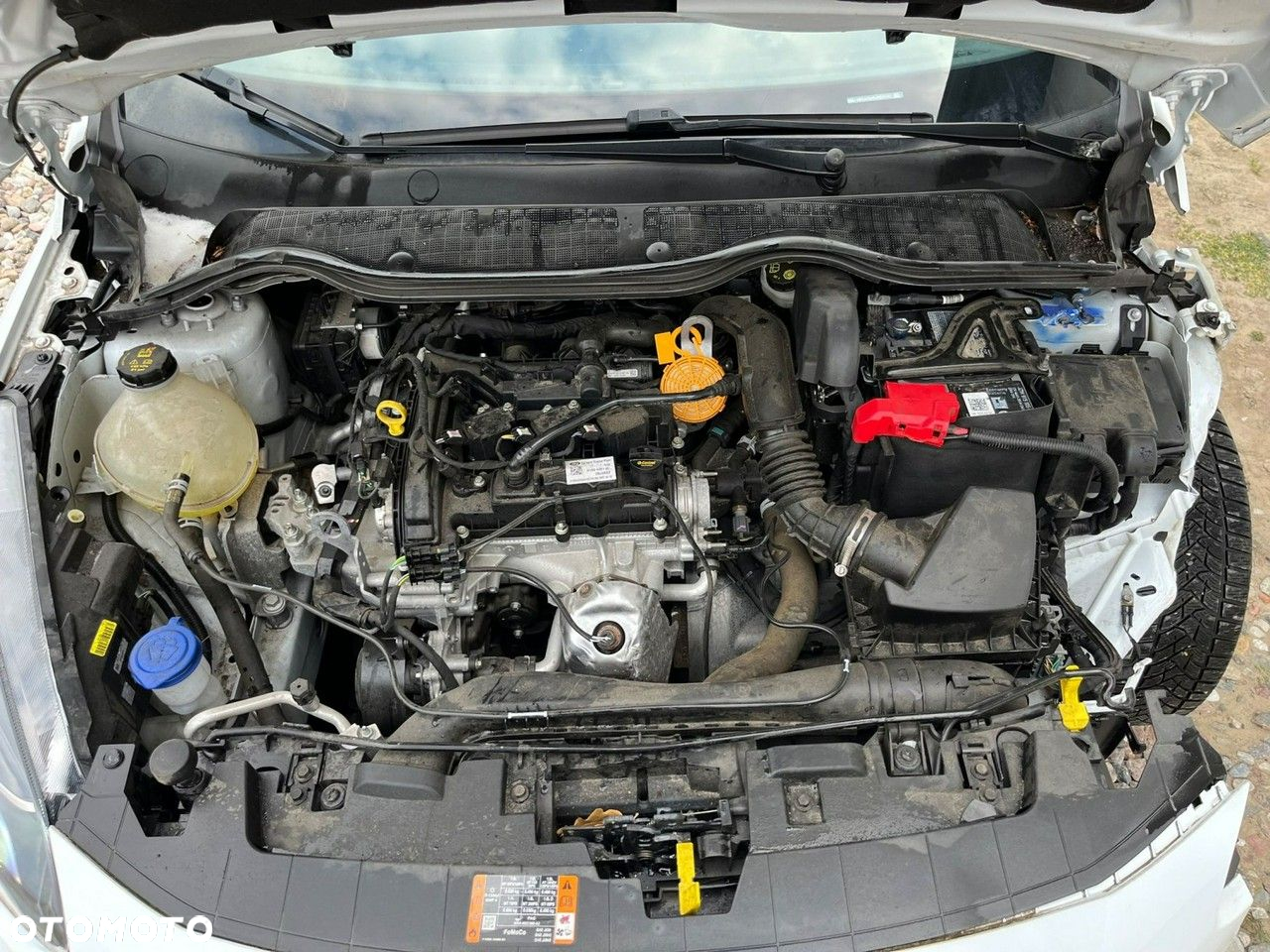 Ford Fiesta - 13