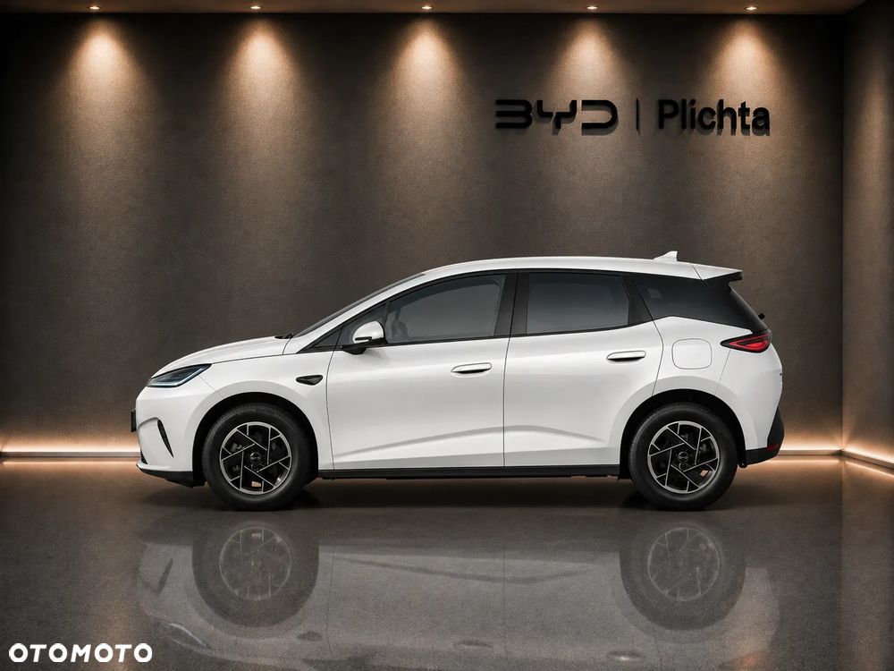 BYD Dolphin G - 5
