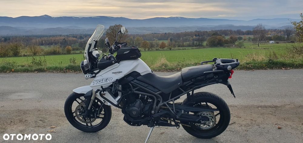 Triumph Tiger - 1
