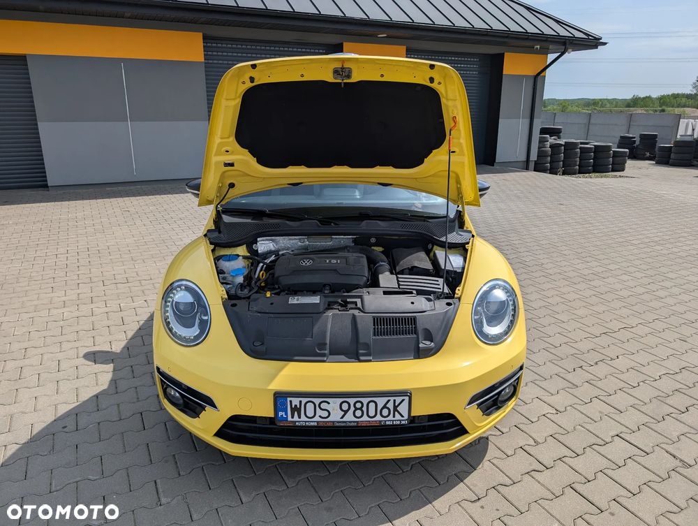 Volkswagen Beetle - 16
