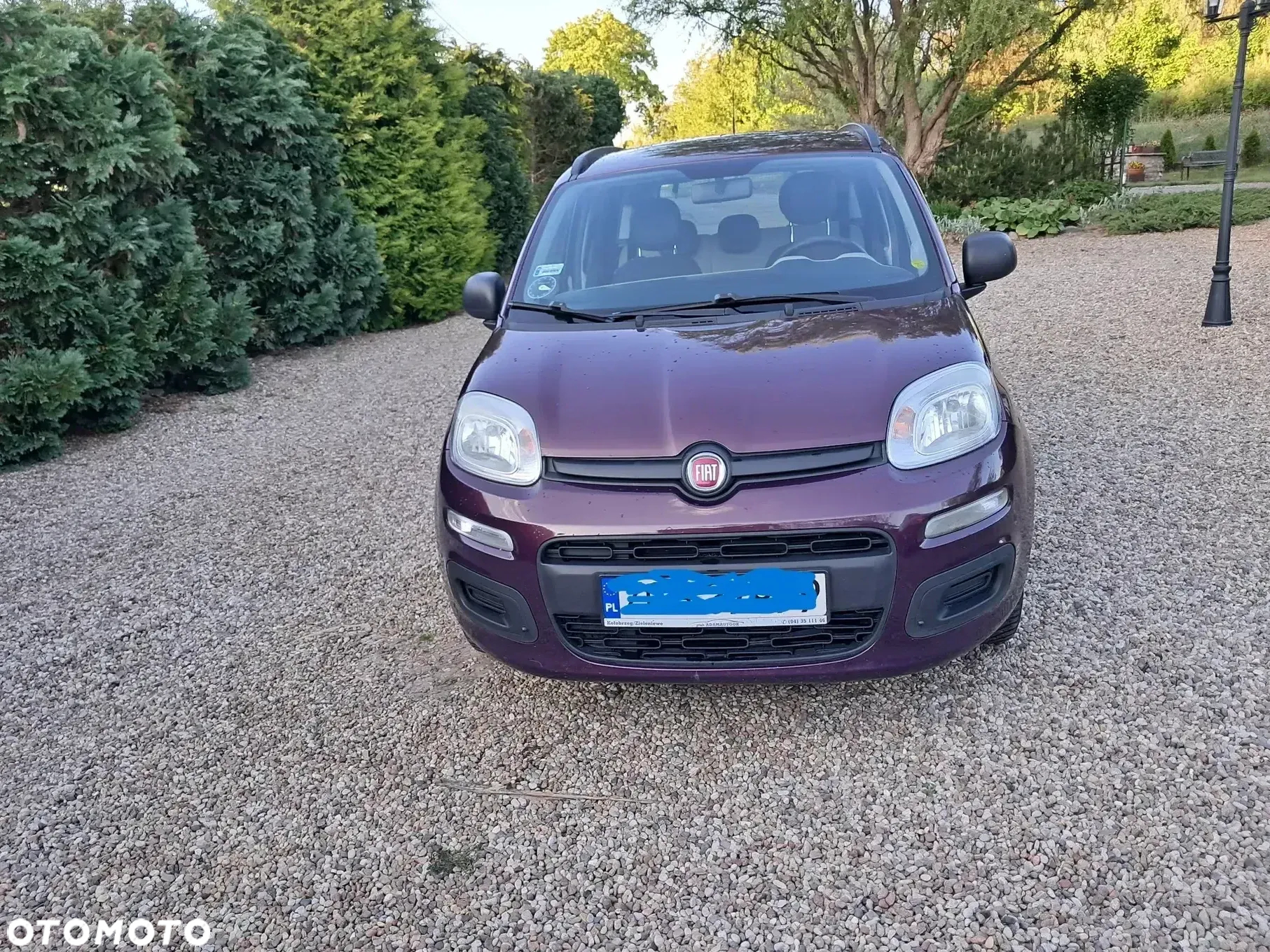 Fiat Panda - 2